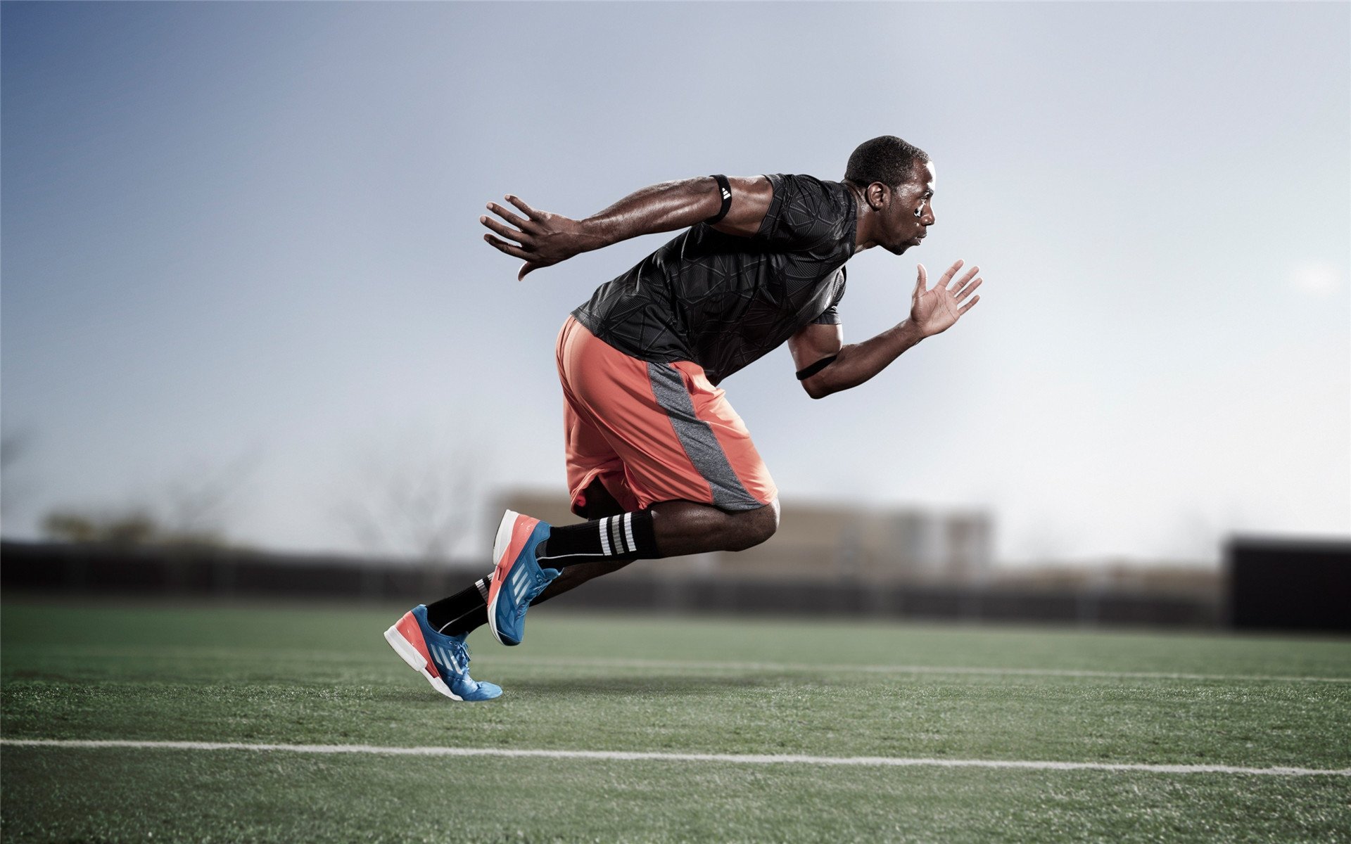 史上最激烈“冠军争夺战”精彩纷呈!,冠军之争