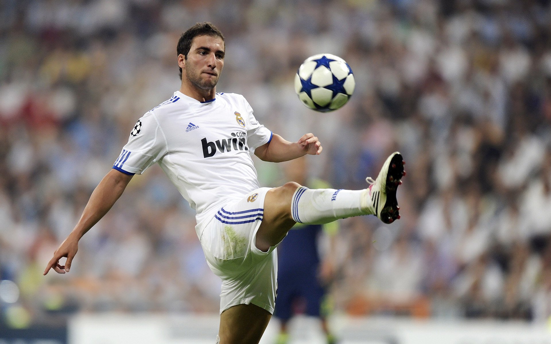 法甲劲旅迎新生，引援计划暗藏玄机，法甲劲旅有哪些